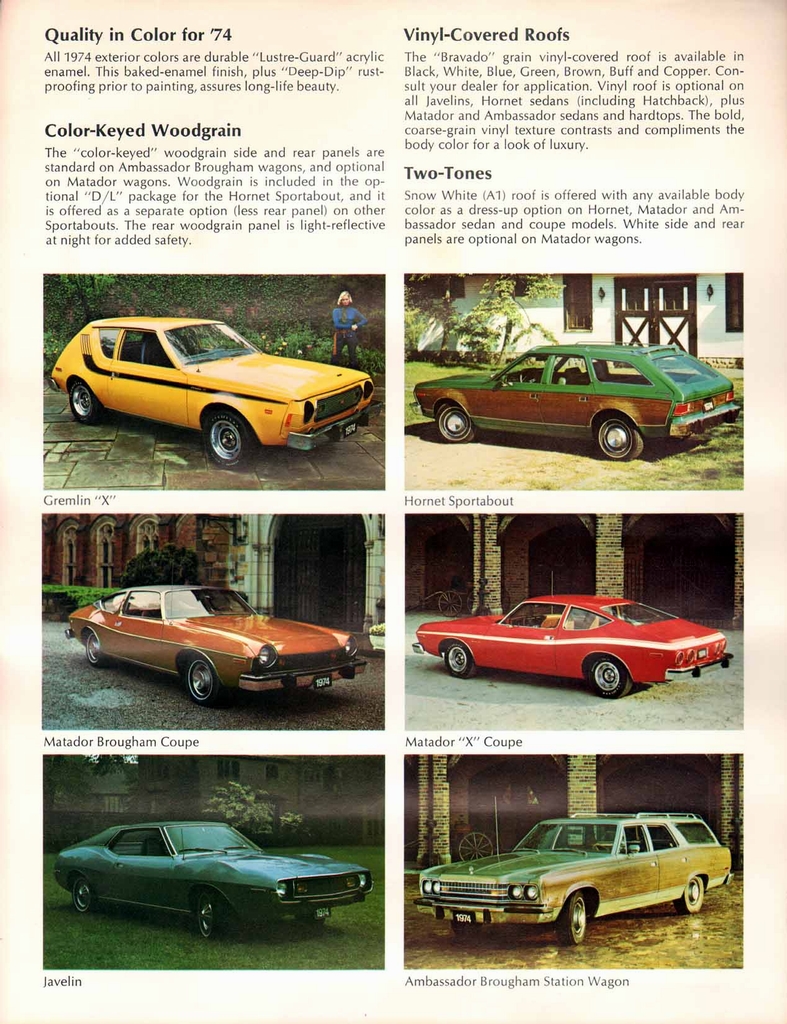 n_1974 AMC Exterior Color Chart-02.jpg